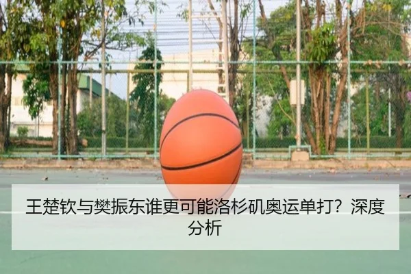王楚钦与樊振东谁更可能洛杉矶奥运单打？深度分析